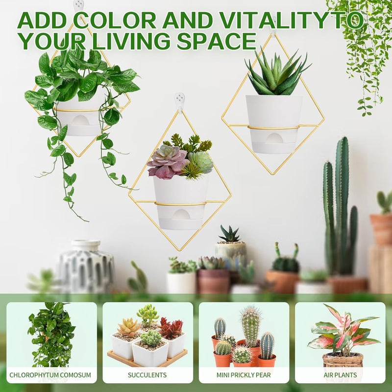 Koalaime 3 Sets Wall Planters for Indoor Plants Geometric Hanging Planters for Indoor Plants - Self-Watering Flower Pots with Black Metal Holder, Mounted Succulent Planter, 5" Black Plant Pot - Image 4